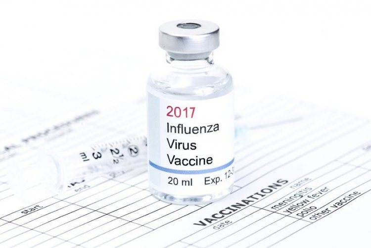 Разработан дизайн универсальной вакцины от вирусов гриппа