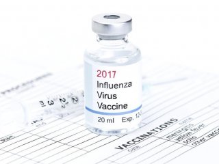 Разработан дизайн универсальной вакцины от вирусов гриппа