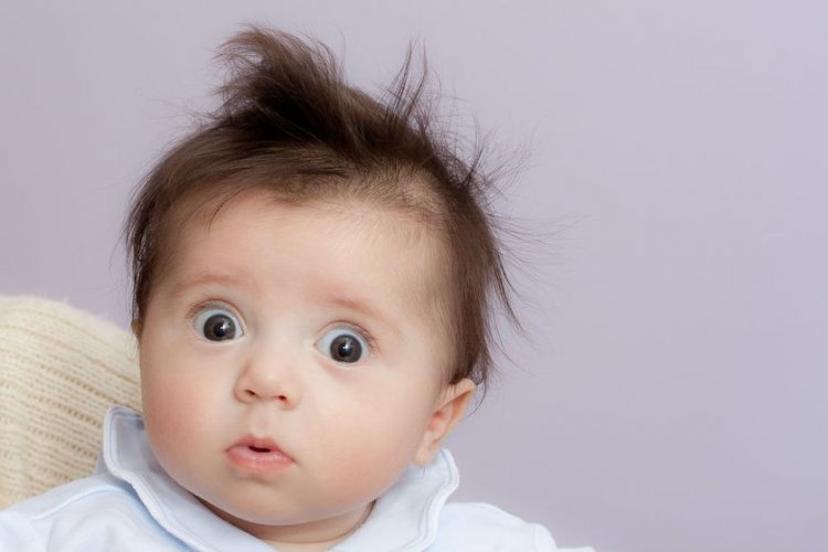 Зрительная кора мозга младенца работает как у взрослых