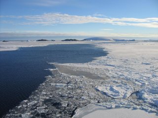 Среди льдов Арктики 20000 лет назад существовала морская жизнь