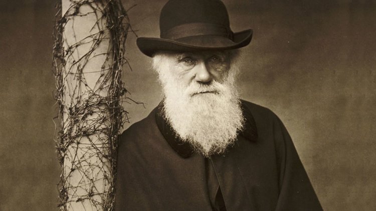 Выставка «В чём Дарвин был не прав?» 22 октября 2019 г. – 15 апреля 2020 г.
