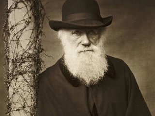 Выставка «В чём Дарвин был не прав?» 22 октября 2019 г. – 15 апреля 2020 г.