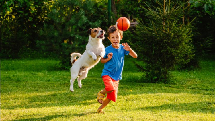 Ученые выяснили, что игры с собакой меняют поведение детей. Фото: Shutterstock