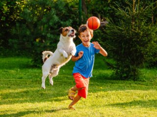 Ученые выяснили, что игры с собакой меняют поведение детей