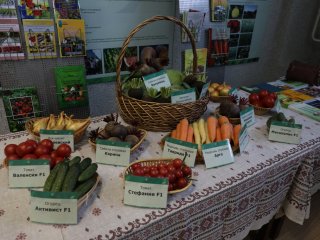 Центр овощеводства ВНИИССОК отмечает юбилей!…