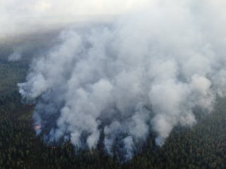 3. Лесной пожар