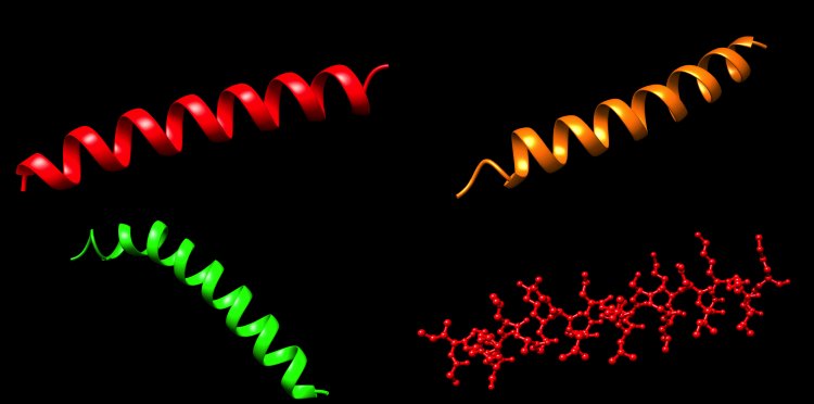 Трехмерные структуры изученных пептидов. Источник: Альберт Болатчиев