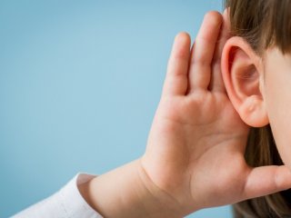 Прекурсор витамина В3 спасает от глухоты