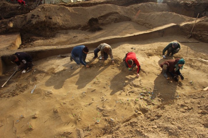 На «Афонтовой горе-IV» были найдены древние артефакты. Фото: АНО "Археологическое исследование Сибири"