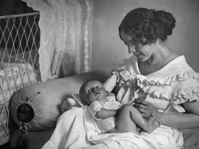 Праздники в ноябре в Дарвиновском музее