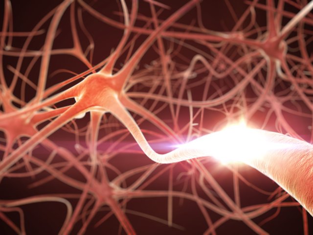 Как белки влияют на рост нейронов при болезни Альцгеймера