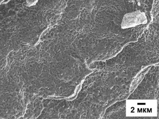 Сканирующая электронная микроскопия композиционного материала на основе трубного полиэтилена с добавлением УНВ. Источник фото - ФИЦ «Институт катализа СО РАН»