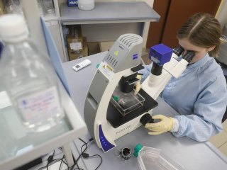 Фото © Егор Алеев/ТАСС