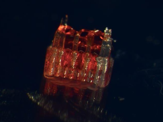 Новое исследование объединяет в себе 3D-печать, биологию стволовых клеток и выращивание тканей в лаборатории для лечения травм спинного мозга. Фото: McAlpine Research Group, University of Minnesota