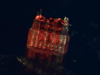 Новое исследование объединяет в себе 3D-печать, биологию стволовых клеток и выращивание тканей в лаборатории для лечения травм спинного мозга. Фото: McAlpine Research Group, University of Minnesota