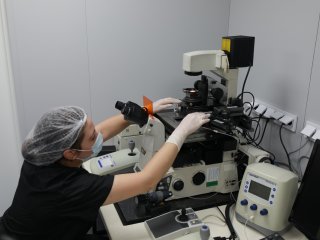Новый виварий заработал в МГУ на базе Научно-исследовательского института физико-химической биологии им. А.Н. Белозерского. Фото: Елена Либрик / «Научная Россия»
