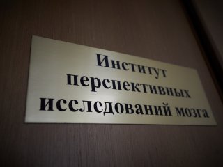 В Институте перспективных исследований мозга МГУ. Фото: Елена Либрик / «Научная Россия»