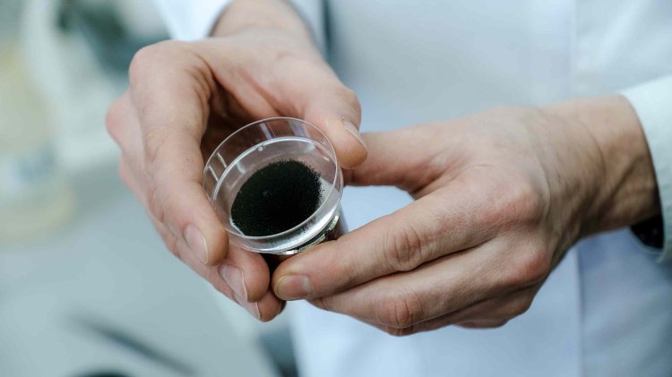 Твердый катализатор. Фото Анастасии Тамаровской / ФИЦ КНЦ СО РАН