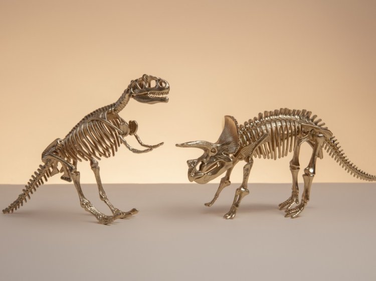 Модели скелетов динозавров. Фото: freepik / фотобанк Freepik