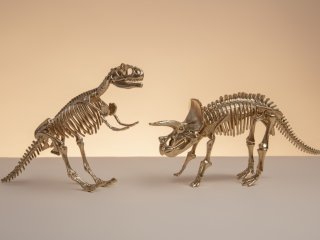 Модели скелетов динозавров. Фото: freepik / фотобанк Freepik