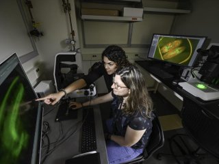 Эррера-Перес и аспирантка в области биомедицинской инженерии Мария Камила Ферручо используют флуоресцентный микроскоп, чтобы наблюдать, как воздействие на белки влияет на развитие нервной системы. Фото: University of Rochester photo / J. Adam Fenster