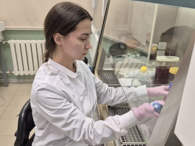 Студентка НГУ София Страхарская культивирует клетки для эксперимента. Фото: Сергей Кулемзин, Татьяна Беловежец / НГУ