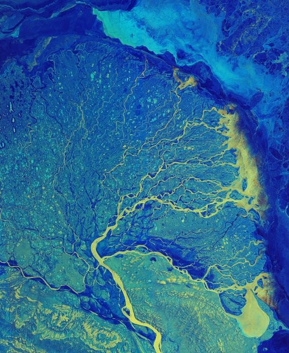 На рисунке изображена дельта реки Лены, одной из крупнейших рек в мире. Река выделена ярко-жёлтым цветом. Она разветвляется на множество рукавов. Фото: contains modified Copernicus Sentinel data (2019), processed by ESA (European Space Agency)