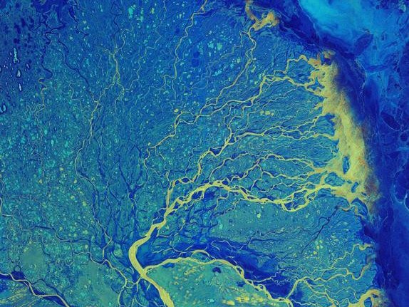 На рисунке изображена дельта реки Лены, одной из крупнейших рек в мире. Река выделена ярко-жёлтым цветом. Она разветвляется на множество рукавов. Фото: contains modified Copernicus Sentinel data (2019), processed by ESA (European Space Agency)