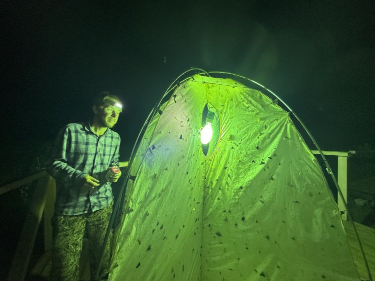 Виталий Спицын в экспедиции на Кунашире. Фото Виталия Спицына