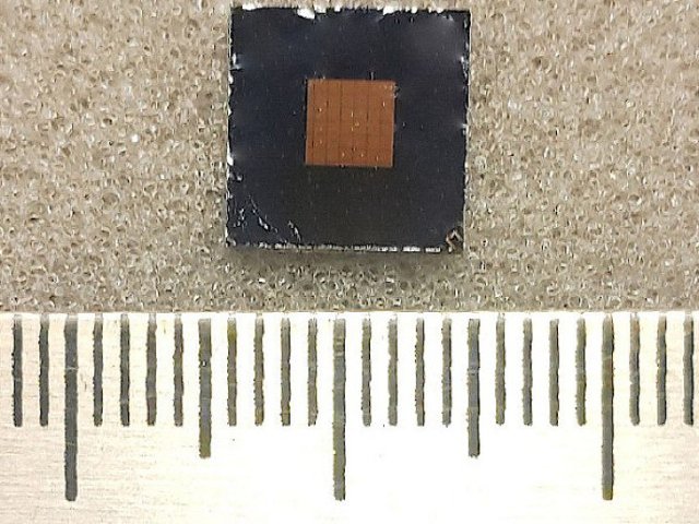 Автор фото Елена Панфило, пресс-служба НГУ