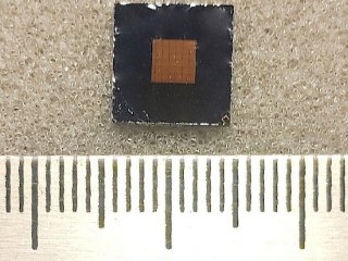 Автор фото Елена Панфило, пресс-служба НГУ