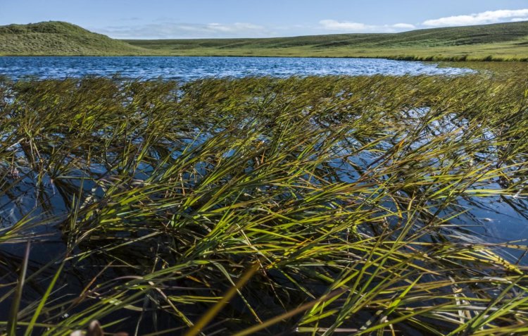 © Личный архив Алексея Фаге