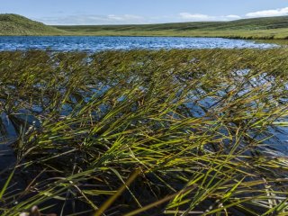 © Личный архив Алексея Фаге