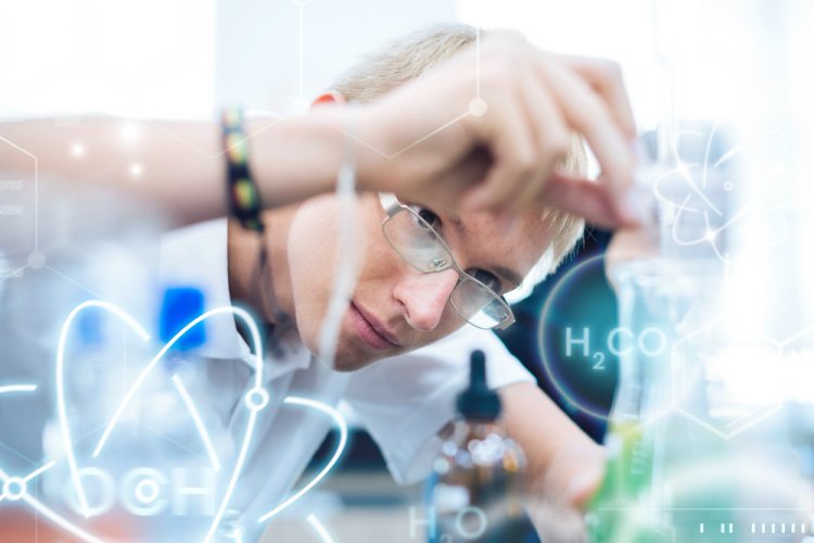 Изображение: Фотобанк Freepik