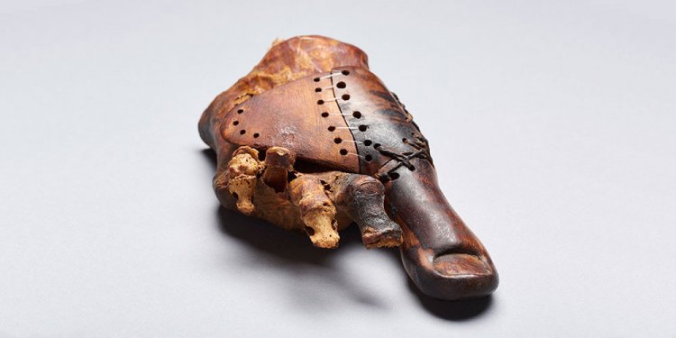 Египтологи изучили самый древний многоразовый протез