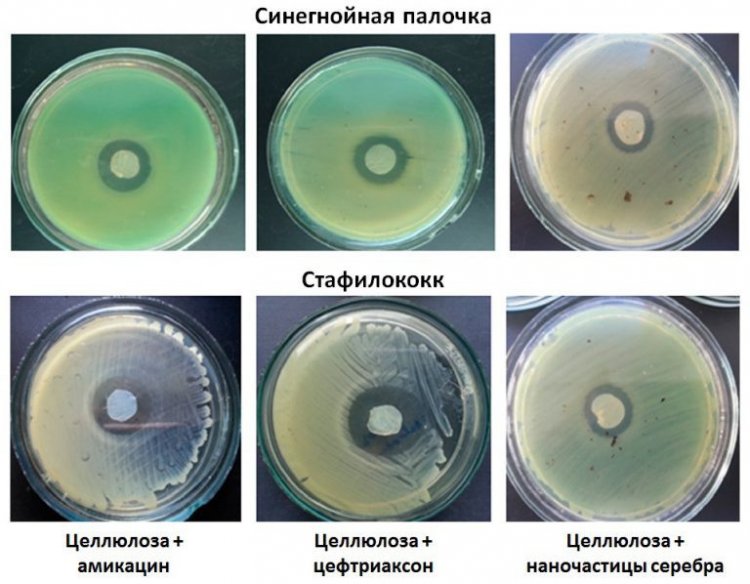 Фото предоставлено Татьяной Воловой