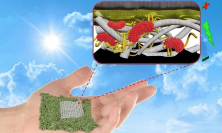 Ученые разработали уникальные биоразлагаемые бумажные батареи