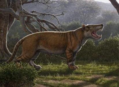 Найдены останки одного из самых крупных плотоядных млекопитающих