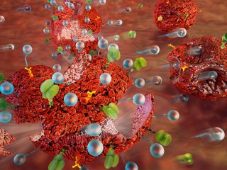 Исследователи НИЯУ МИФИ и Университета Оулу научились управлять клетками крови