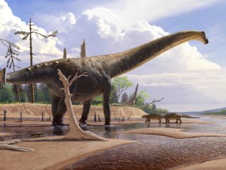 Странный хвост гигантского динозавра из Монголии