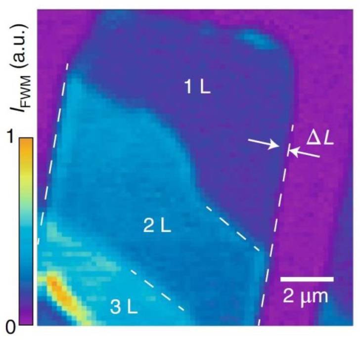 Определен физический механизм, ответственный за пространственное разрешение при исследовании графена оптическим нано-зондом