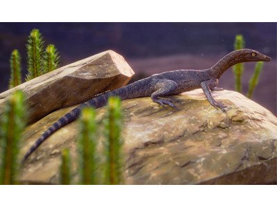 В Бразилии найдена ископаемая рептилия нового вида
