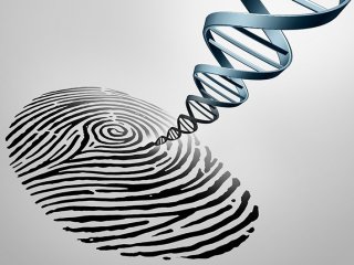 36 лет назад были открыты «генетические отпечатки»