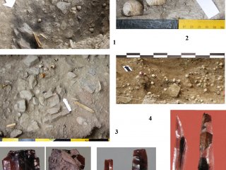 Остатки раковин виноградных улиток и обсидиановые артефакты из грота Сосруко