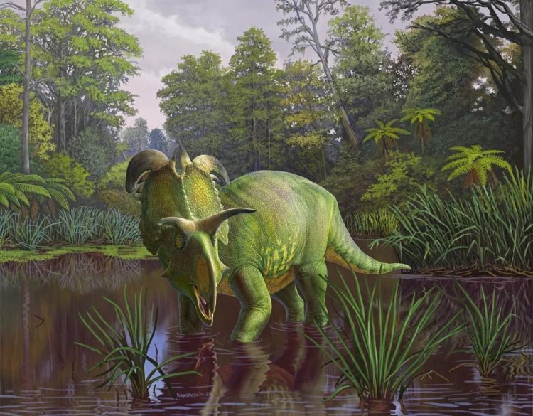 Обнаружен новый вид динозавров с причудливыми рогами