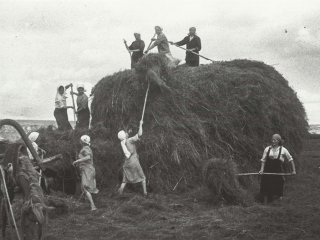 Вблизи фронта на уборке сена 1942 г. Автор: Васин Сергей Иванович