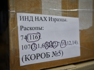 Фото: Елена Либрик / Научная Россия