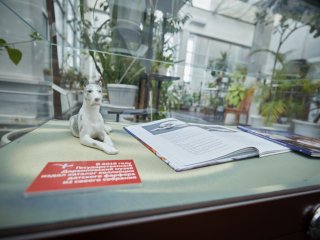 Фото: Елена Либрик / Научная Россия