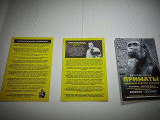 Фото: Елена Либрик / Научная Россия