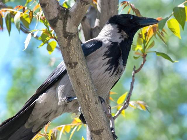 Источник фото: ru.123rf.com